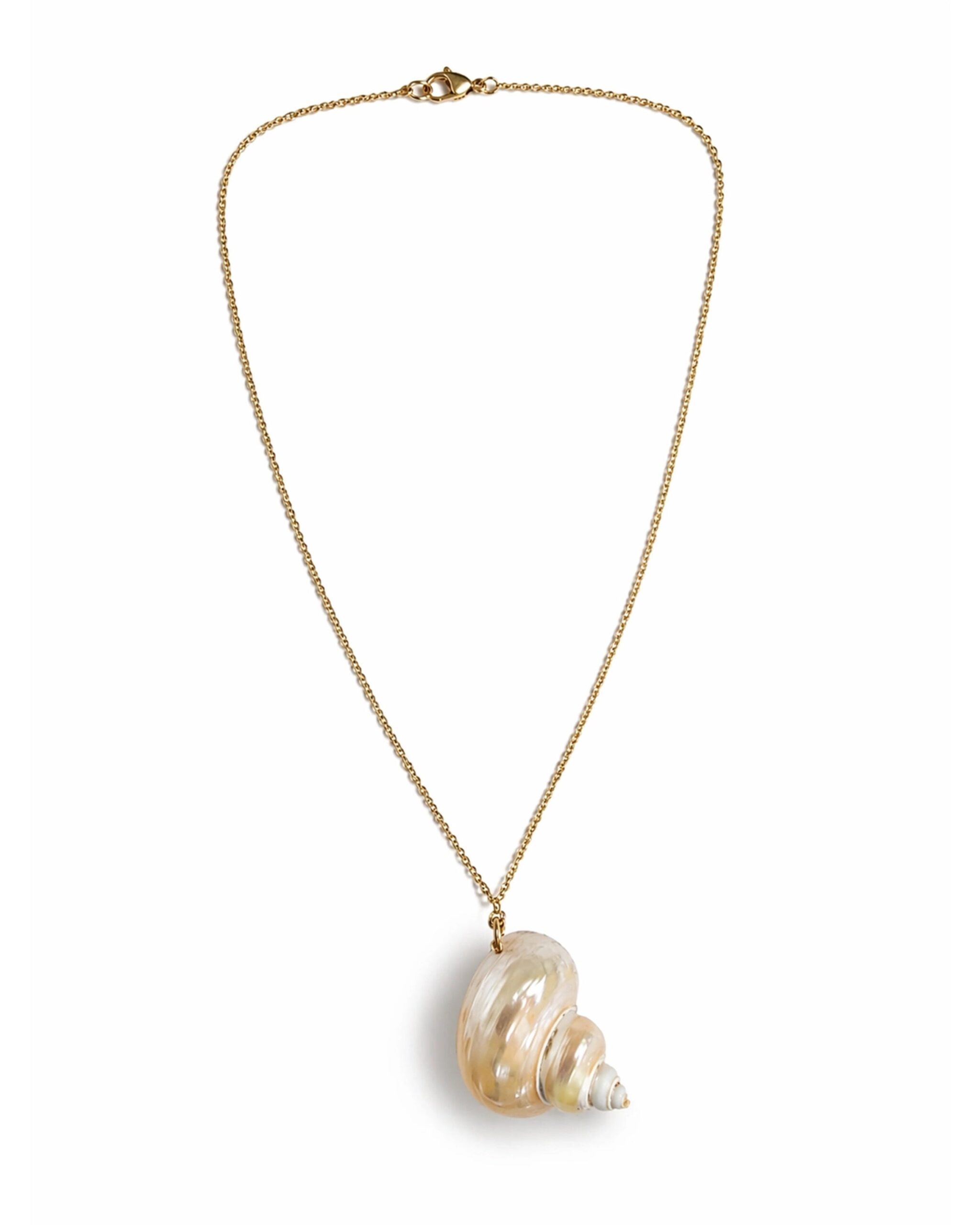 seashell-necklace